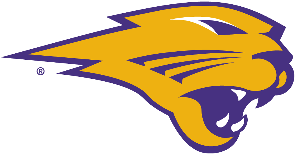 Northern Iowa Panthers 2002-Pres Partial Logo diy iron on heat transfer